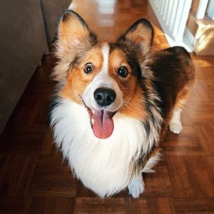 Meet your Posher, Cece